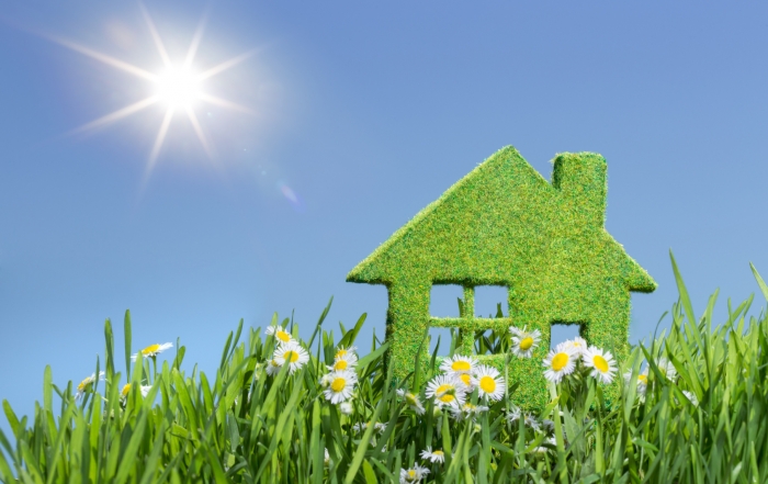 house from grass